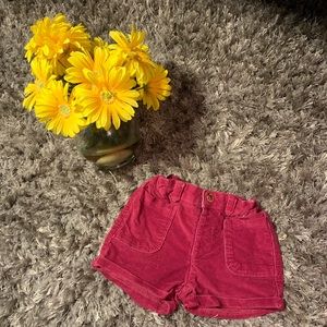 Burgundy Corduroys Shorts